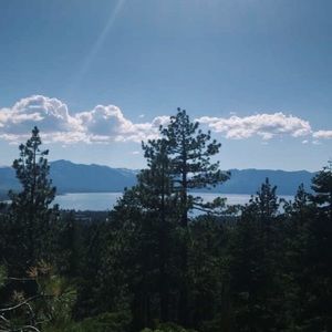 Meet your Posher, Gemma